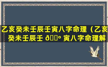 乙亥癸未壬辰壬寅八字命理（乙亥癸未壬辰壬 🌺 寅八字命理解 🌷 析）